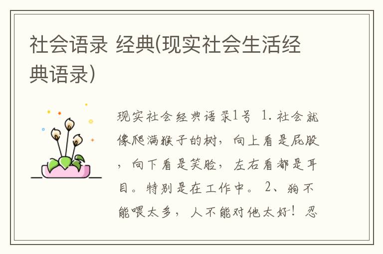 社会语录 经典(现实社会生活经典语