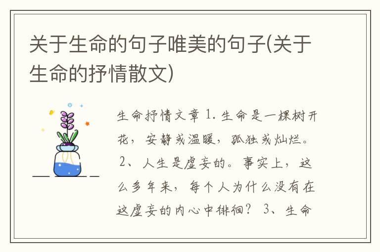关于生命的句子唯美的句子(关于生