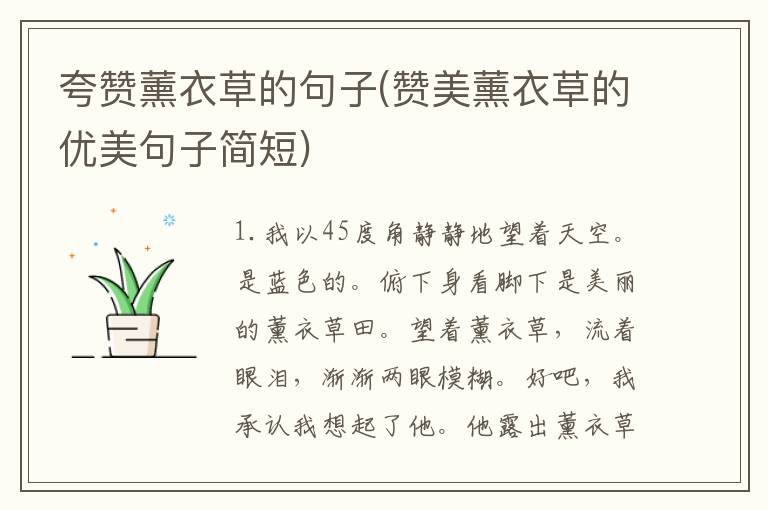 夸赞薰衣草的句子(赞美薰衣草的优美句子简短)