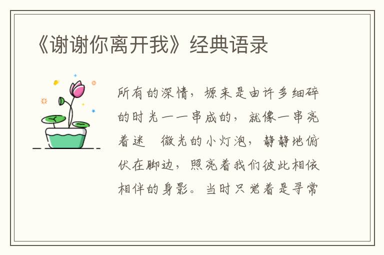 《谢谢你离开我》经典语录