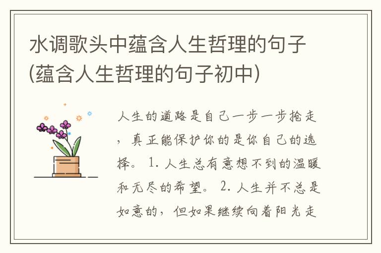 水调歌头中蕴含人生哲理的句子(蕴