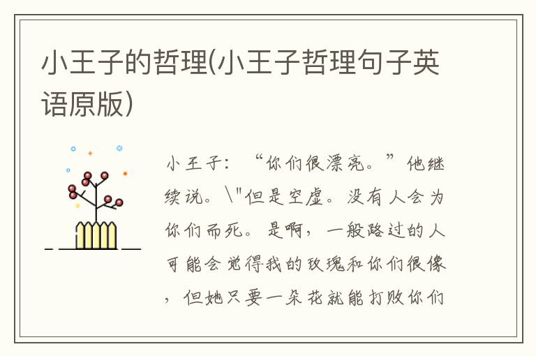 小王子的哲理(小王子哲理句子英语原版)