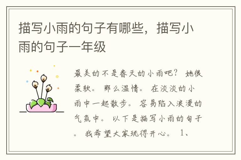描写小雨的句子有哪些，描写小雨的句子一年级