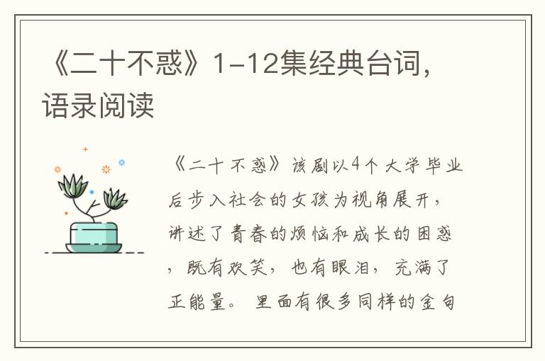《二十不惑》1-12集经典台词,语录阅