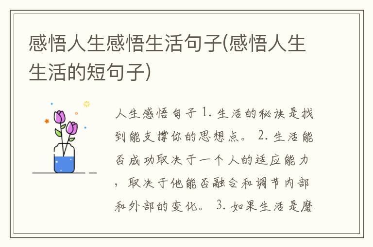 感悟人生感悟生活句子(感悟人生生