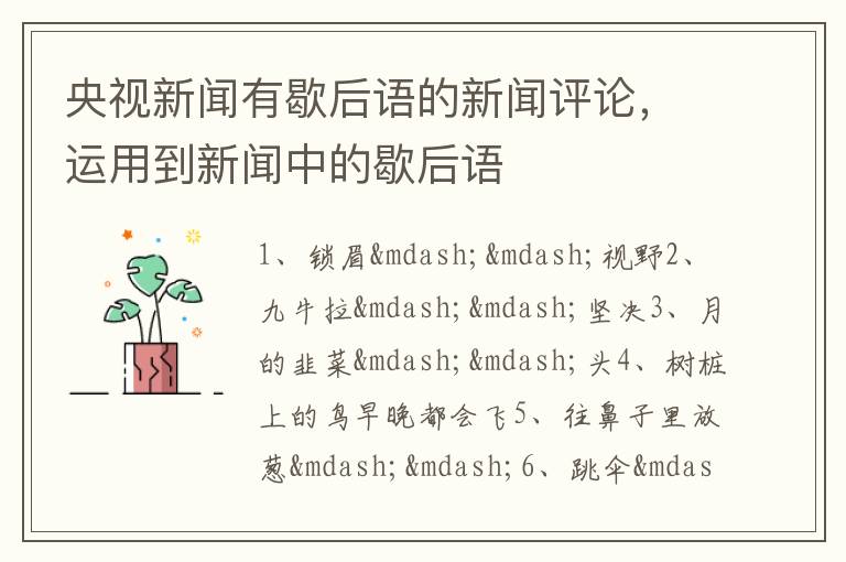 央视新闻有歇后语的新闻评论,运用到