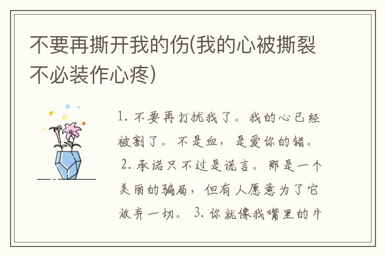 不要再撕开我的伤(我的心被撕裂不必装作心疼)