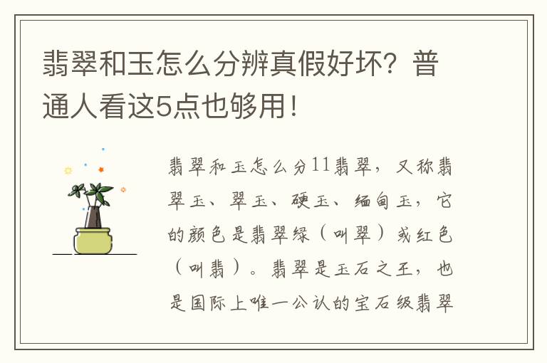 翡翠和玉怎么分辨真假好坏？普通人看