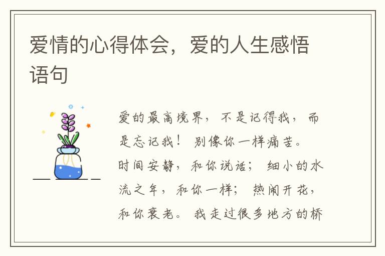 爱情的心得体会,爱的人生感悟语句