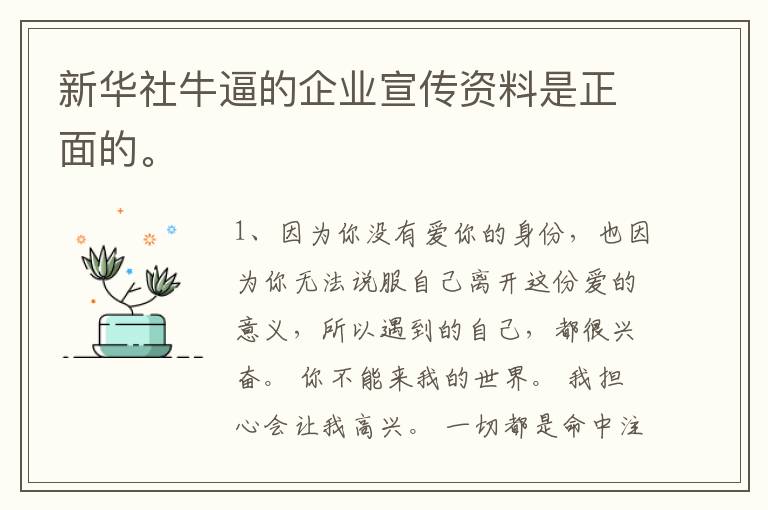 新华社牛逼的企业宣传资料是正面的。