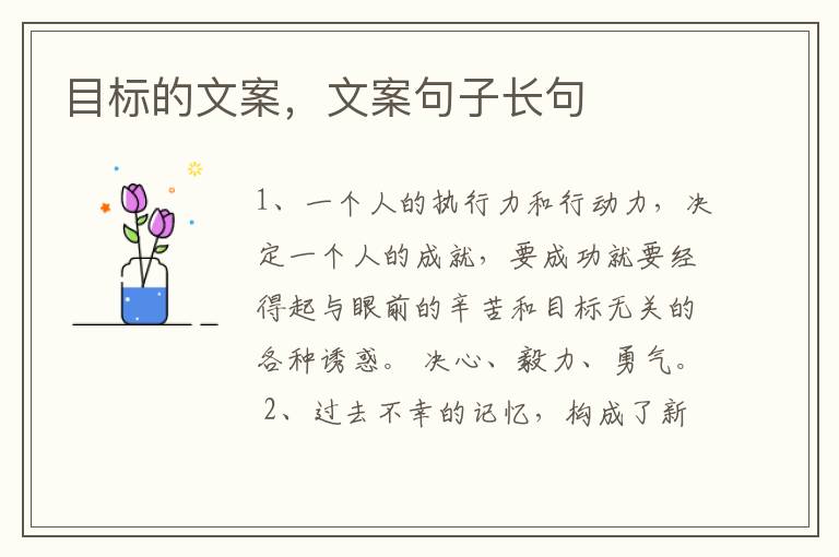 目标的文案,文案句子长句