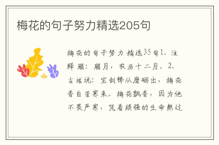 梅花的句子努力精选205句