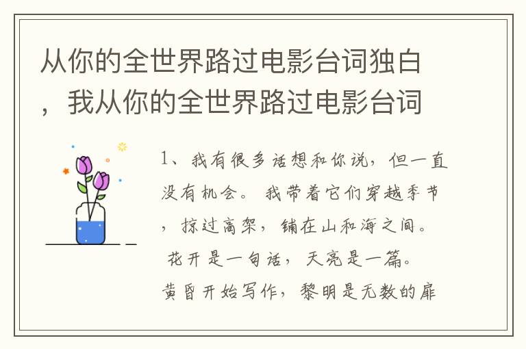 从你的全世界路过电影台词独白，我从