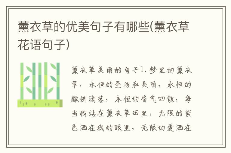薰衣草的优美句子有哪些(薰衣草花语句子)