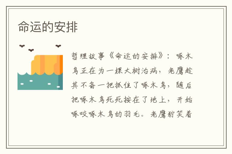 命运的安排