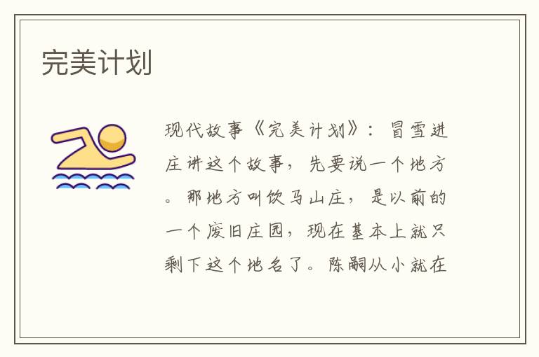 完美计划