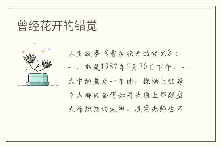 曾经花开的错觉