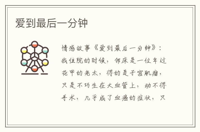 爱到最后一分钟