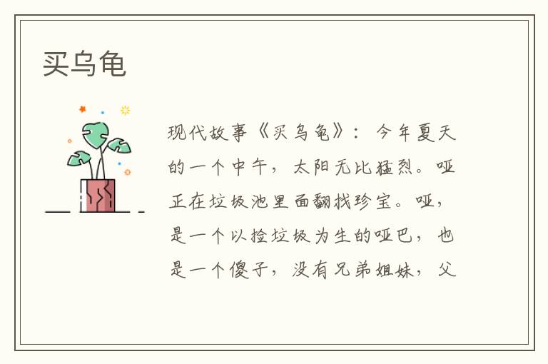 买乌龟