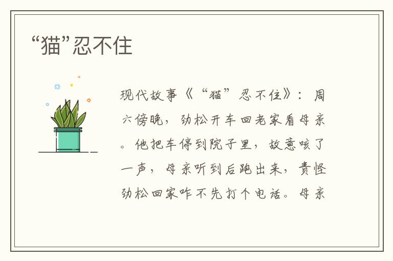 “猫”忍不住