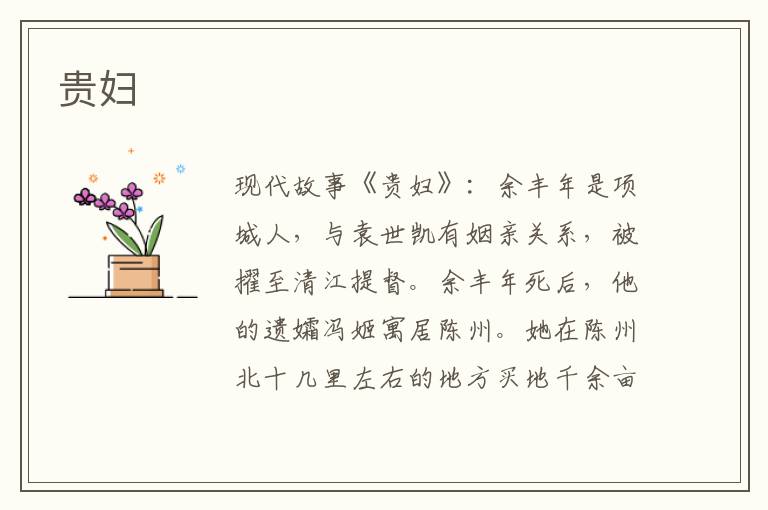 贵妇