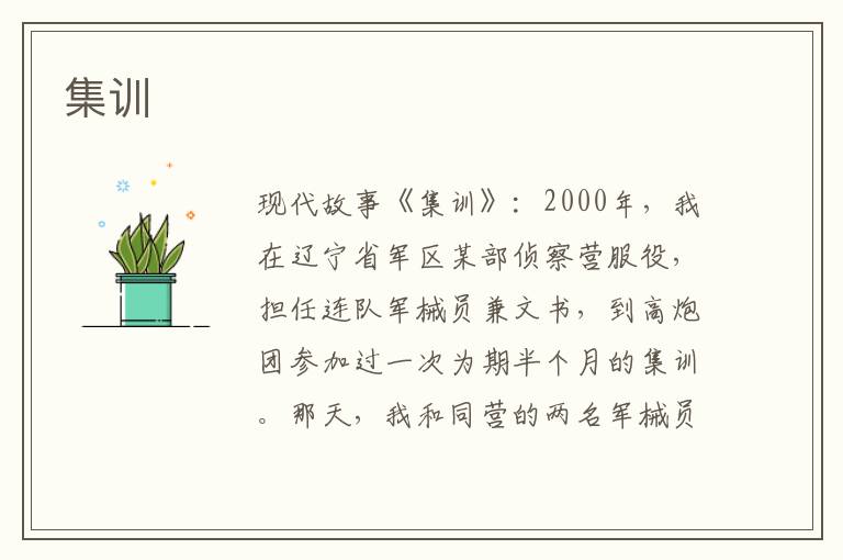 集训