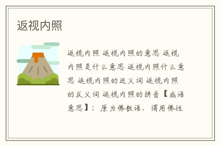 返视内照