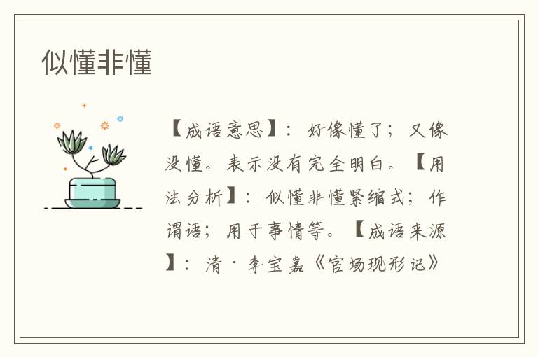 似懂非懂