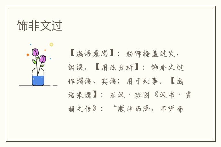 饰非文过