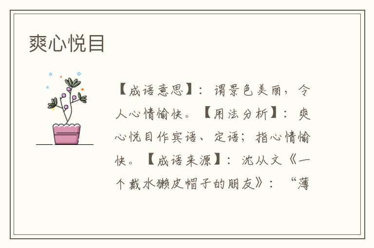 爽心悦目