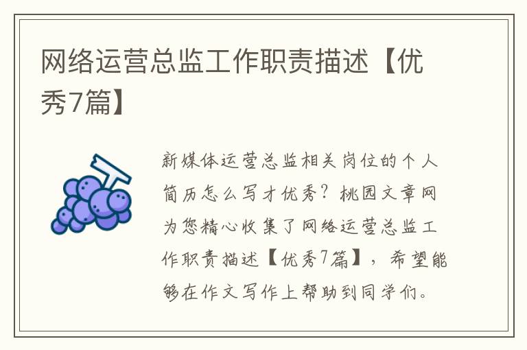 网络运营总监工作职责描述【优秀7
