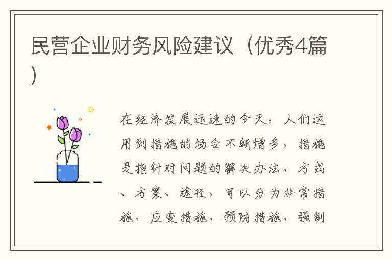 民营企业财务风险建议(优秀4篇)