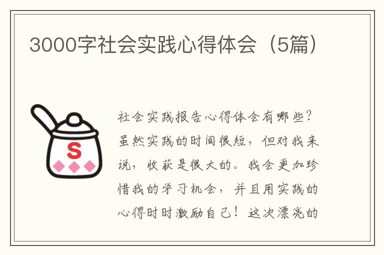 3000字社会实践心得体会(5篇)