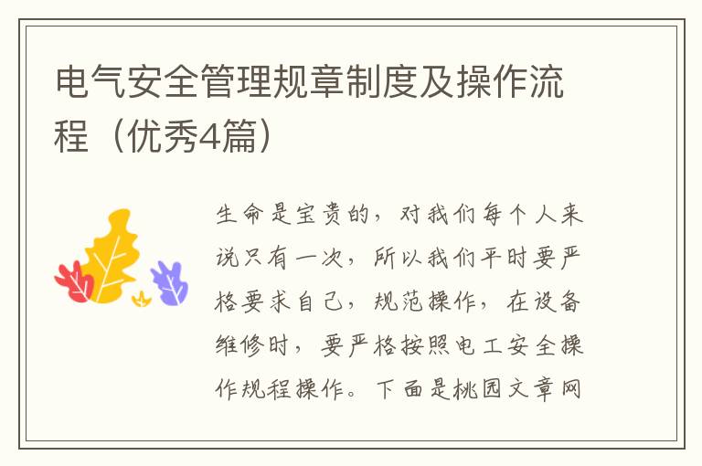 电气安全管理规章制度及操作流程(优
