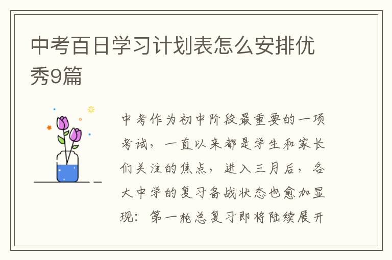 中考百日学习计划表怎么安排优秀9