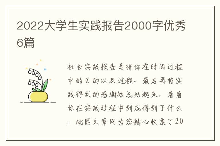 2022大学生实践报告2000字优秀6篇