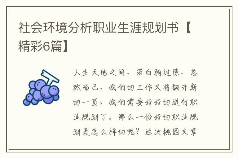 社会环境分析职业生涯规划书【精彩