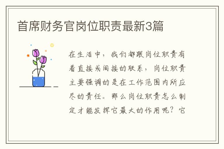 首席财务官岗位职责最新3篇