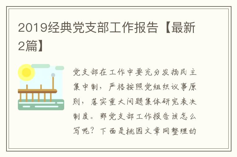 2019经典党支部工作报告【最新2篇