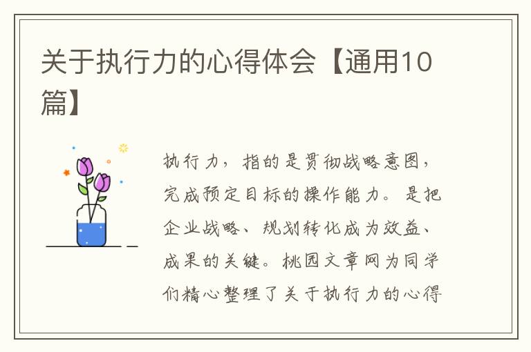 关于执行力的心得体会【通用10篇】