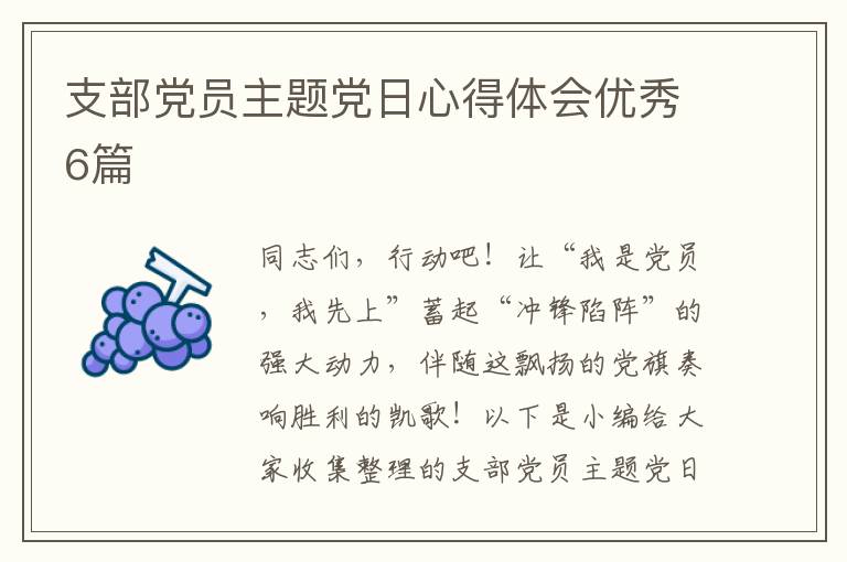 支部党员主题党日心得体会优秀6篇