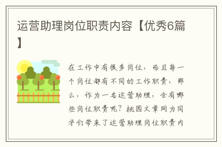 运营助理岗位职责内容【优秀6篇】
