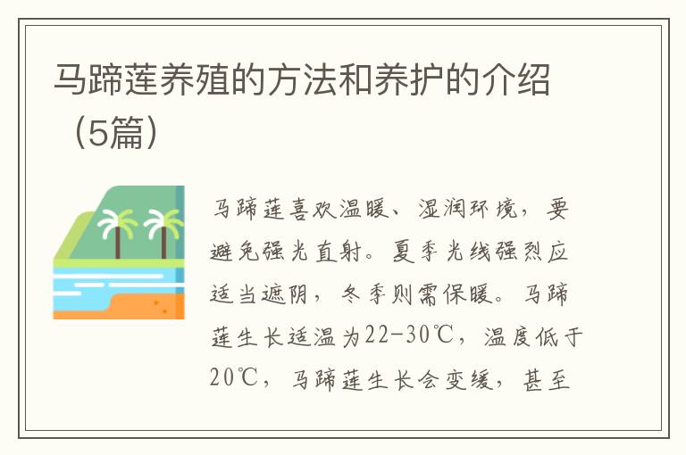 马蹄莲养殖的方法和养护的介绍（5篇）