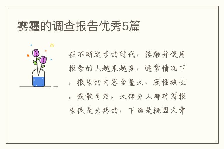 雾霾的调查报告优秀5篇