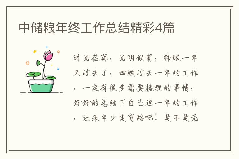 中储粮年终工作总结精彩4篇
