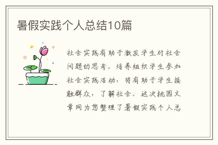 暑假实践个人总结10篇