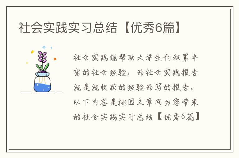 社会实践实习总结【优秀6篇】