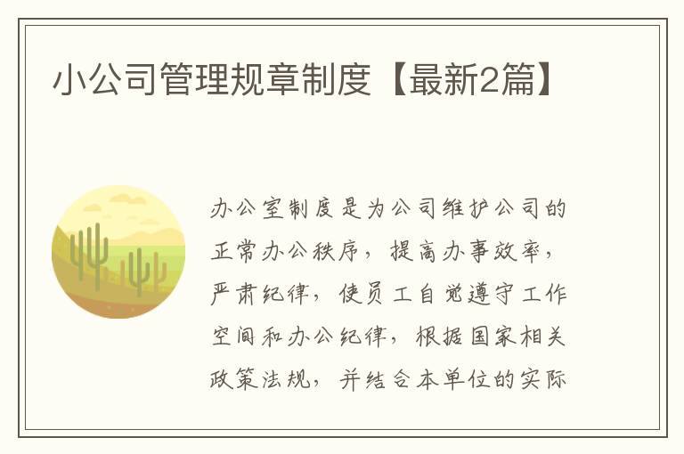 小公司管理规章制度【最新2篇】