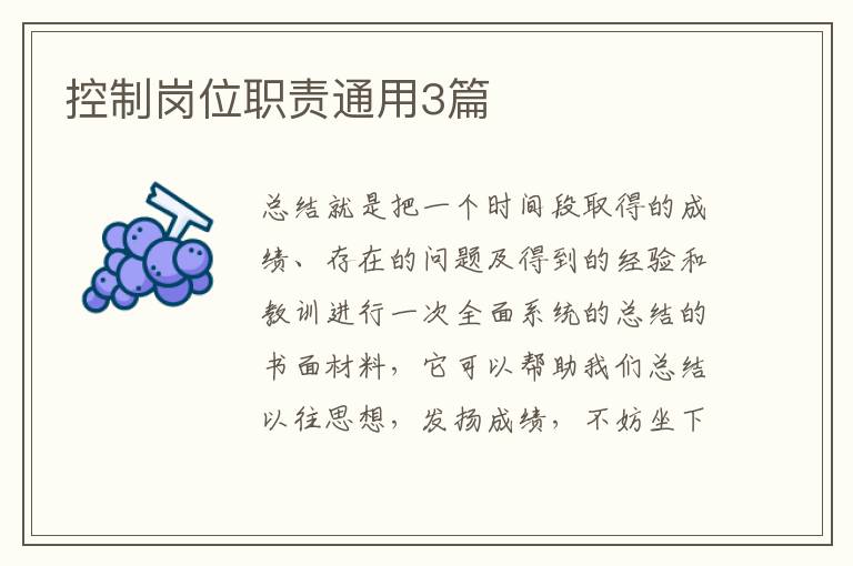 控制岗位职责通用3篇