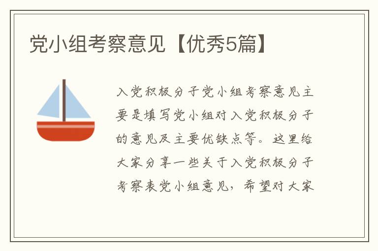 党小组考察意见【优秀5篇】